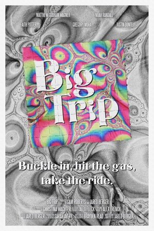 Big Trip (2024) WEBRIP Hindi (MULTI AUDIO) 720p – 480p – 1080p