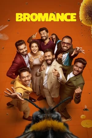 Bromance (2025) WEBRIP Hindi (MULTI AUDIO) 720p – 480p – 1080p