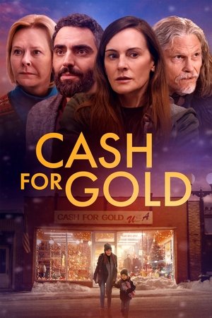 Cash for Gold (2024) WEBRIP Hindi (MULTI AUDIO) 720p – 480p – 1080p