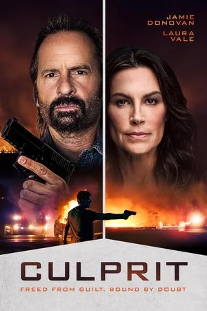 Culprit (2025) WEBRIP Hindi (MULTI AUDIO) 720p – 480p – 1080p