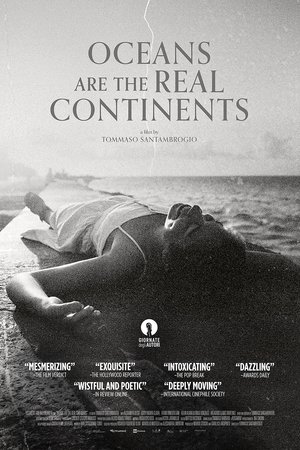 Oceans Are the Real Continents (2023) WEBRIP Hindi (MULTI AUDIO) 720p - 480p - 1080p